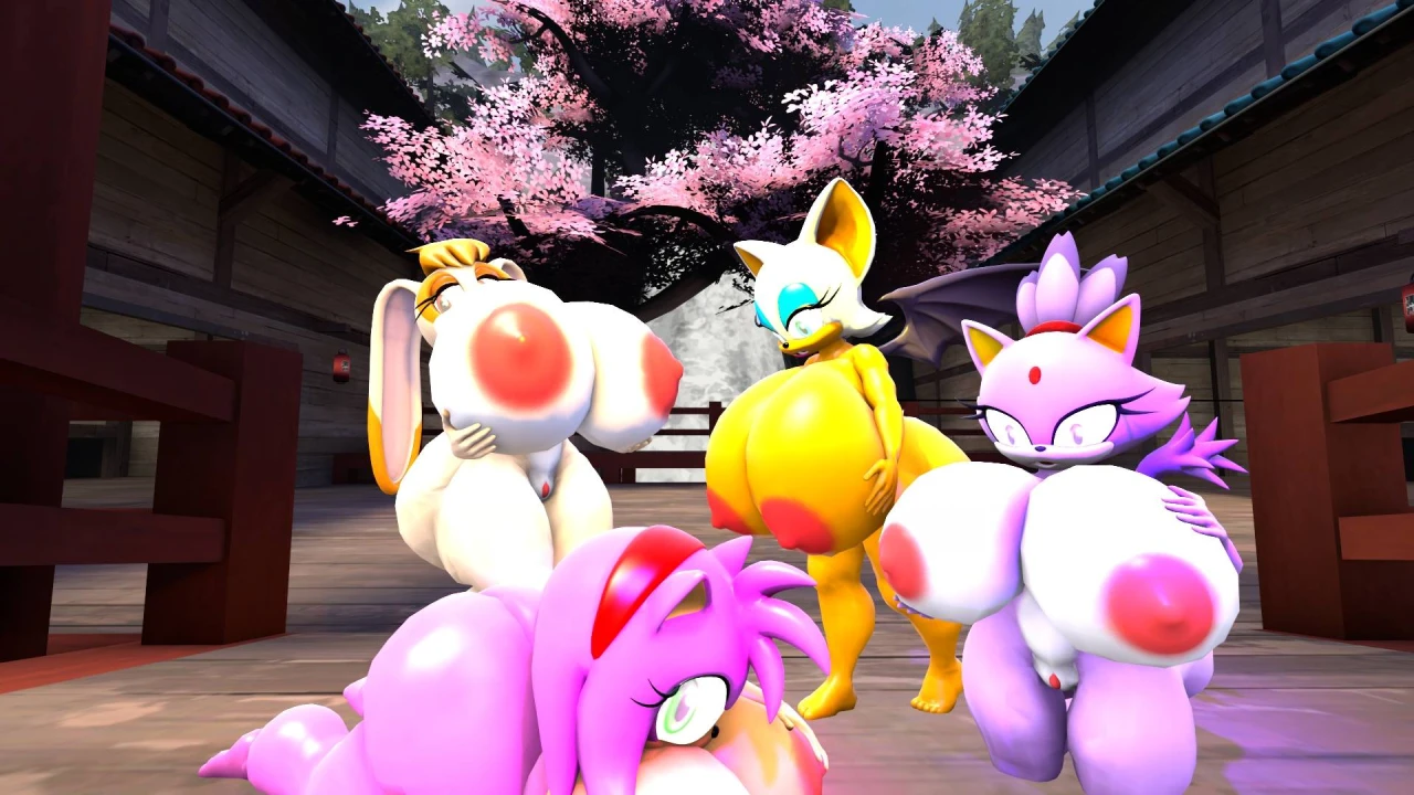 amy-rose-blaze-the-cat-rouge-the-bat-vanilla-the-rabbit