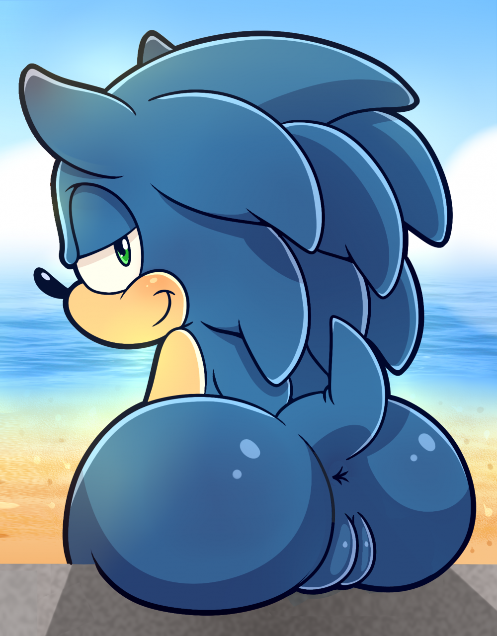 Hentay sonic