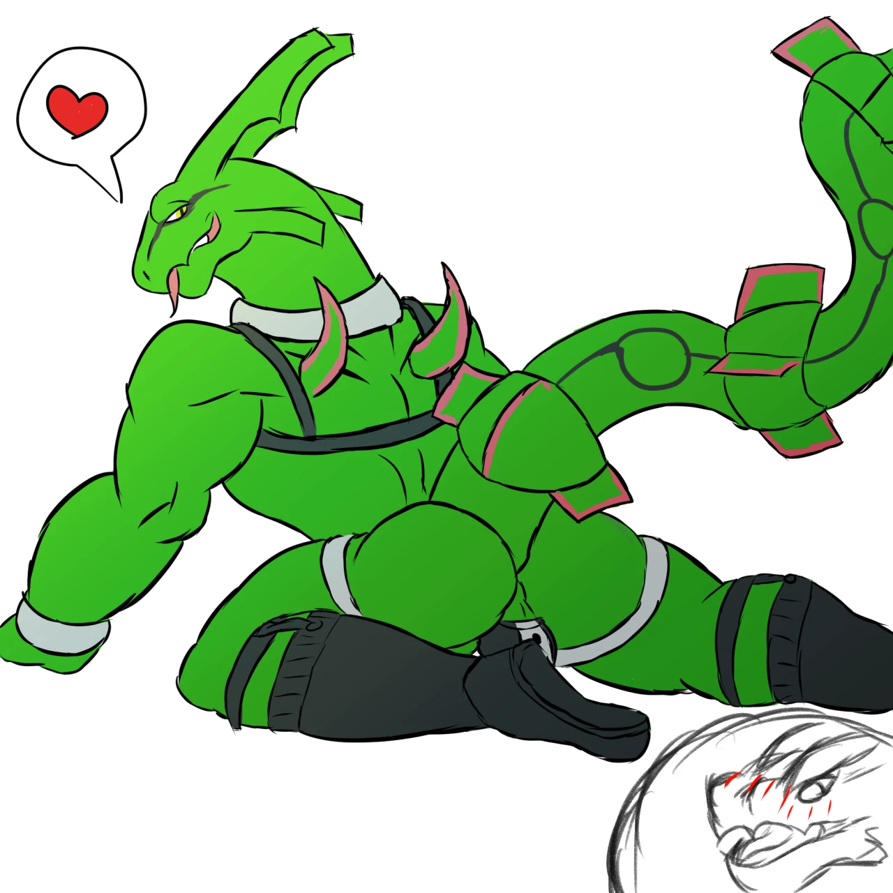 noivernrayquaza