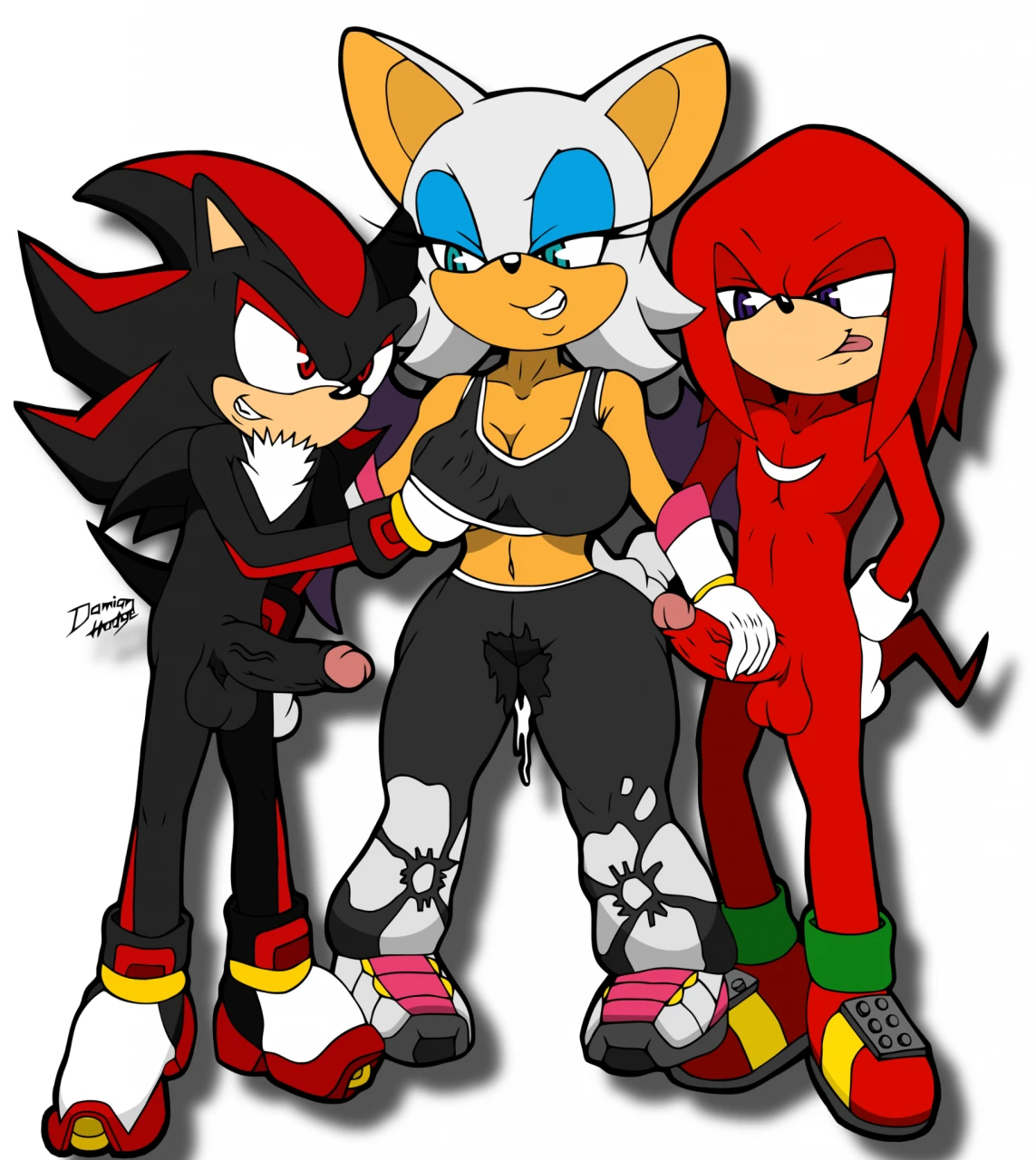 knuckles-the-echidnarouge-the-batshadow-the-hedgehog