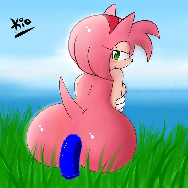 amy-rosesonic-the-hedgehog