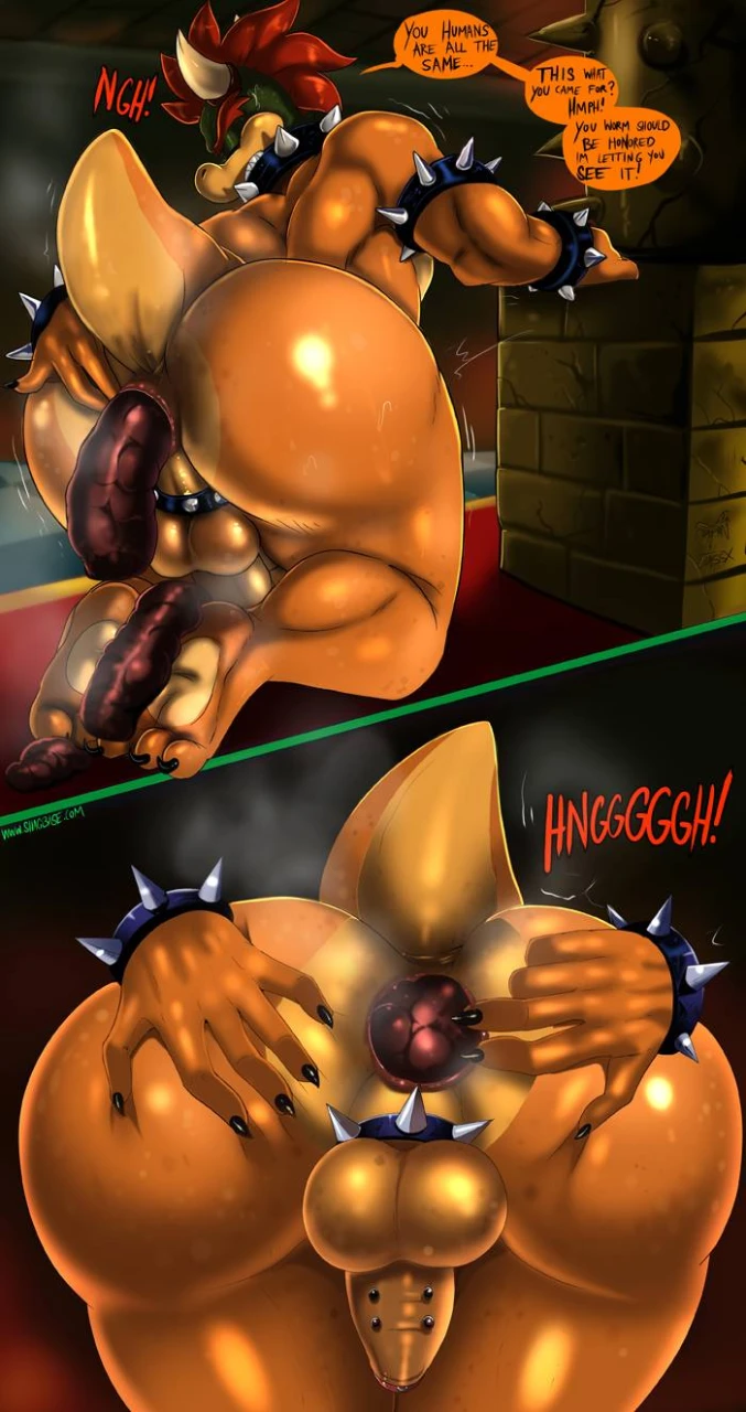 bowserkoopa