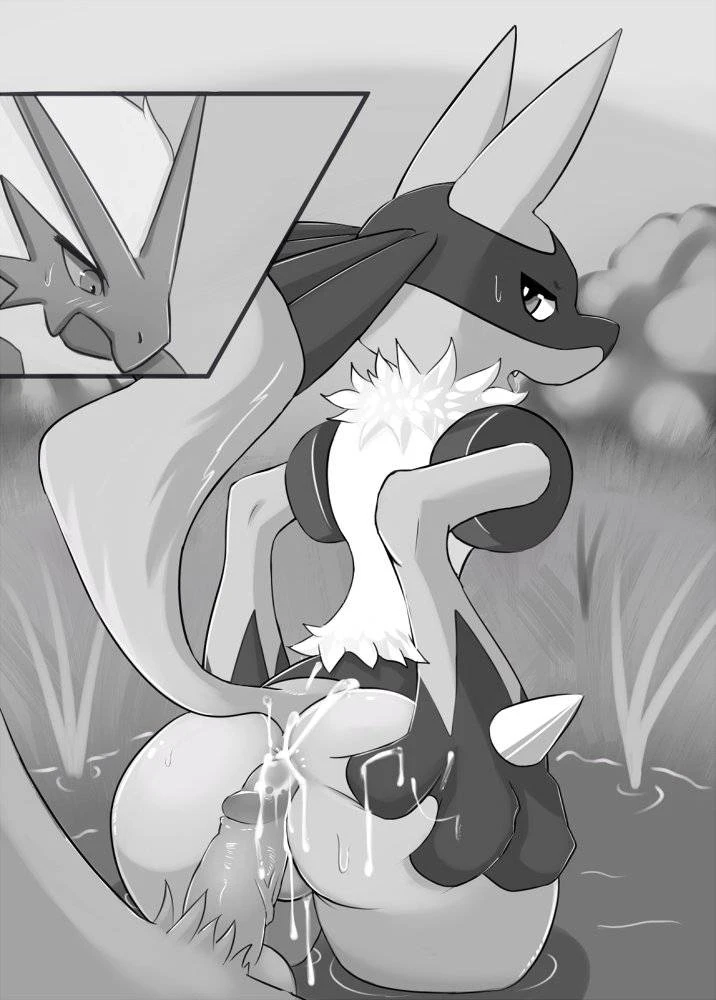 blazikenlucario
