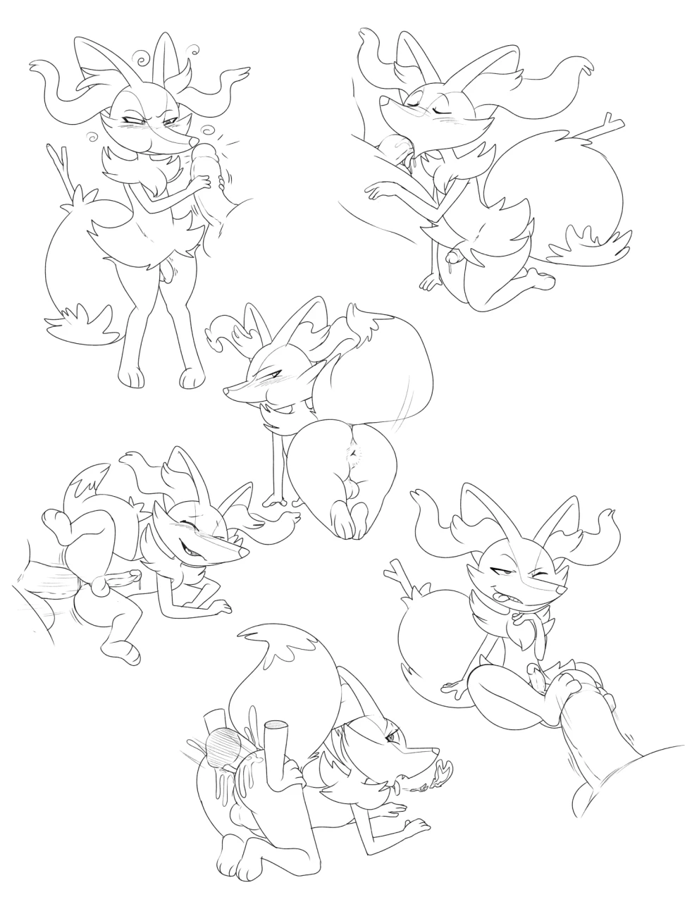 braixen