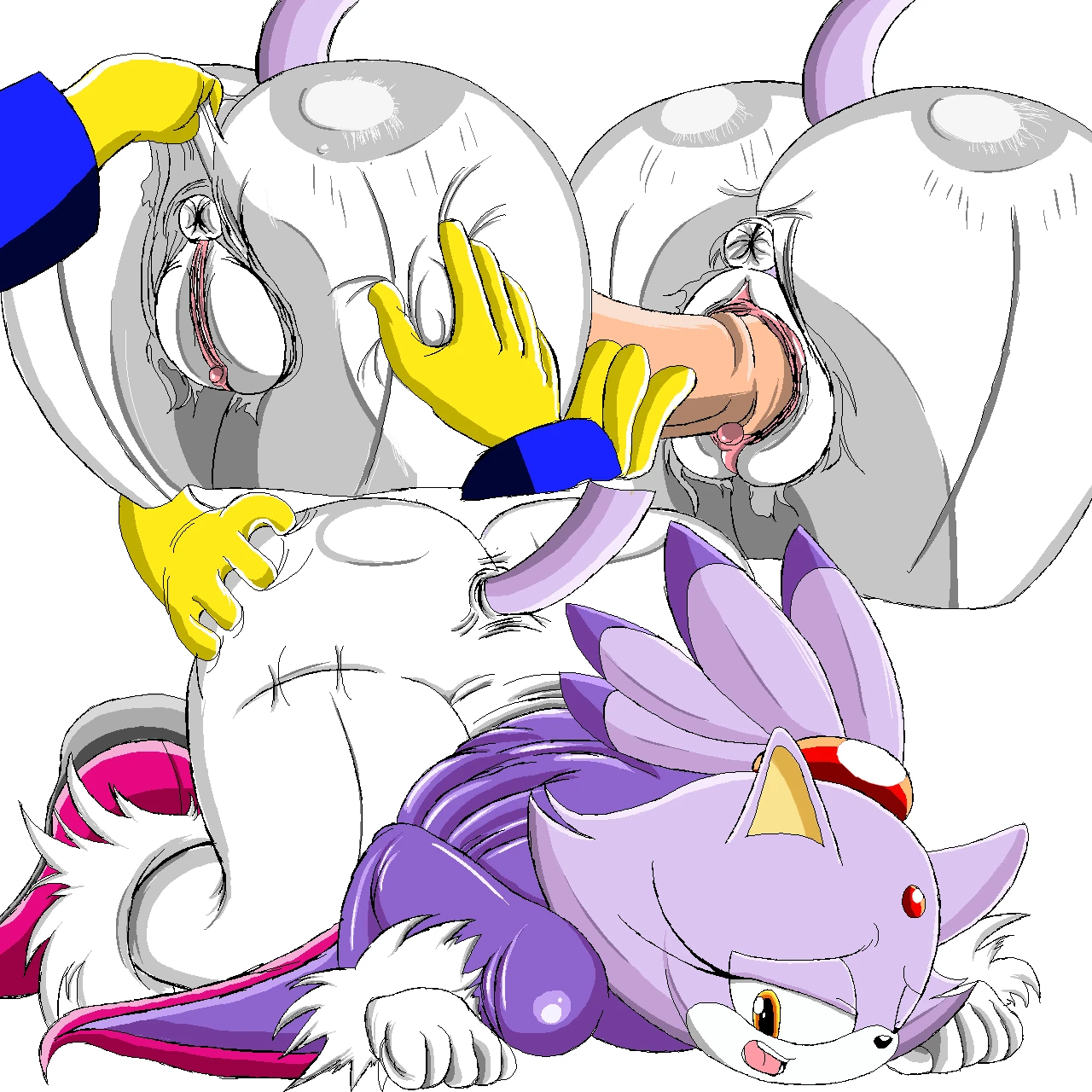 blaze-the-cat