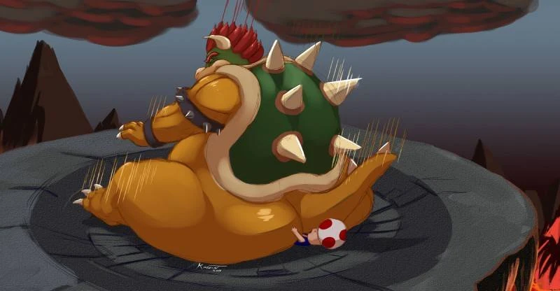 bowserkoopatoad