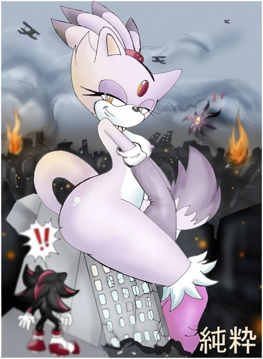 blaze-the-catshadow-the-hedgehog
