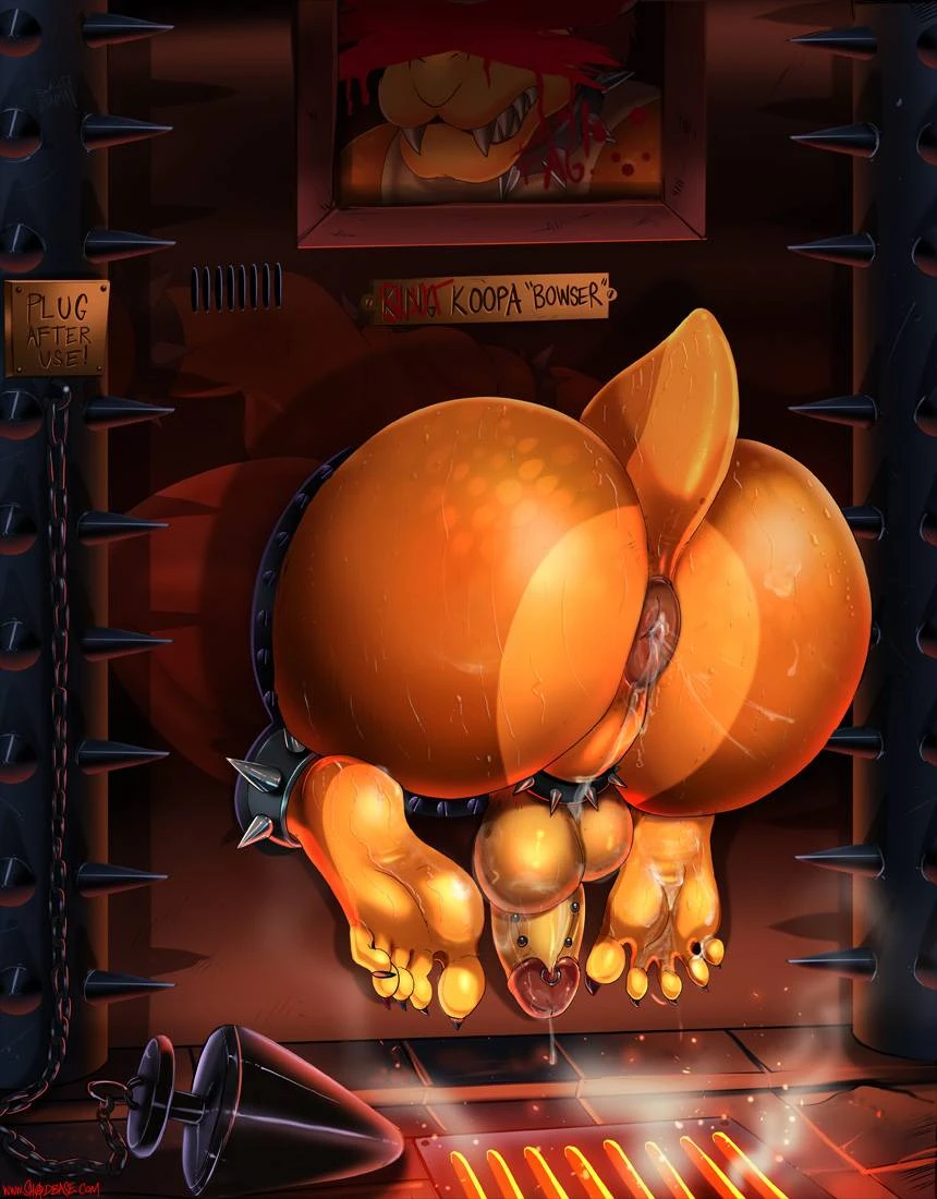 bowserkoopa
