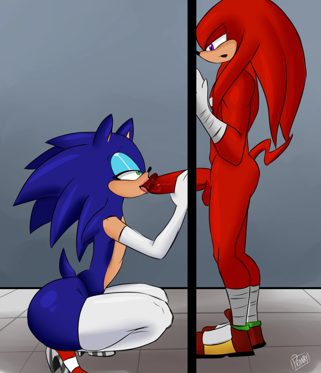 knuckles-the-echidnasonic-the-hedgehog