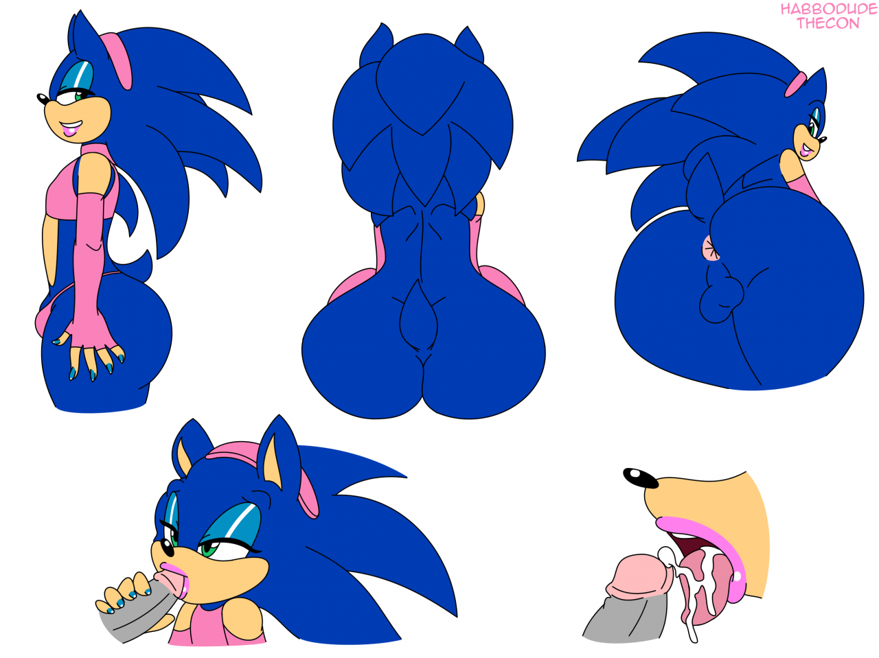 Sonic The Hedgehog Henti