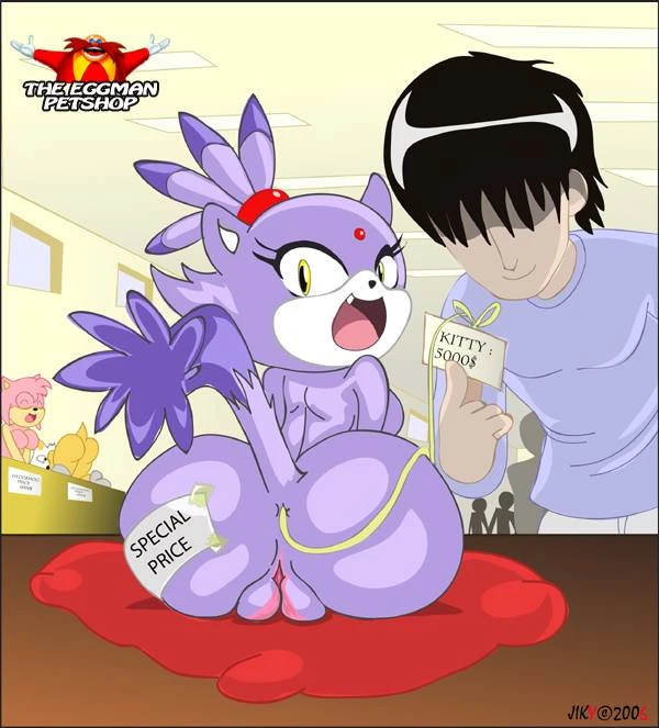 amy-roseblaze-the-catdr-eggmandr-robotnikrouge-the-bat