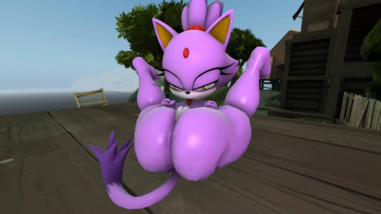 blaze-the-cat
