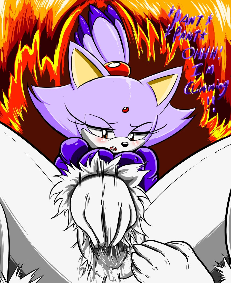 blaze-the-cat
