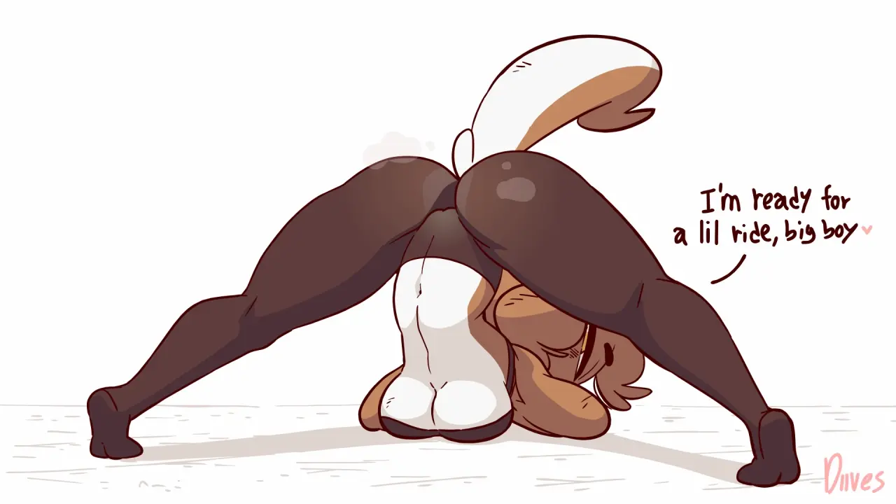 baozi-diives