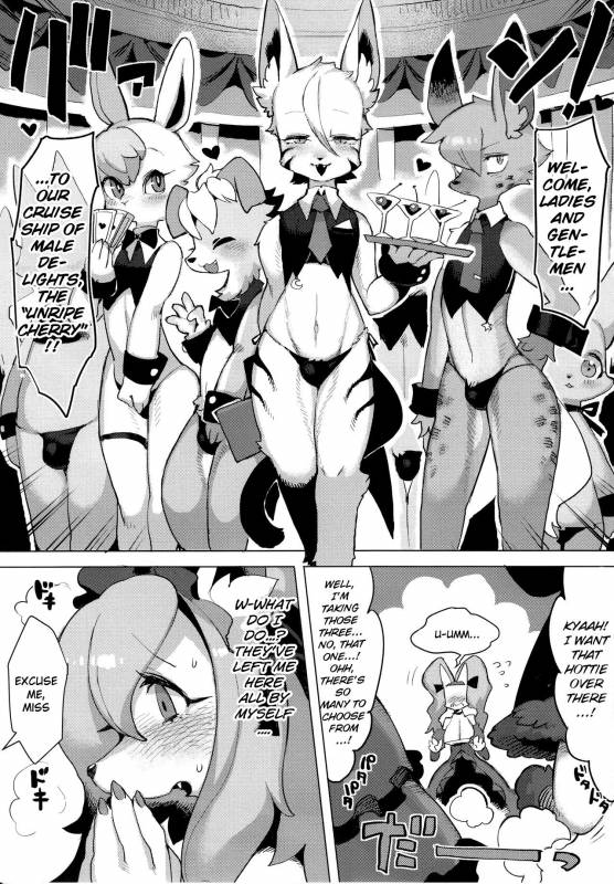 (C92) [Denkishiki (Rikose)] Otto ga Inainode [English] [BSN]_05