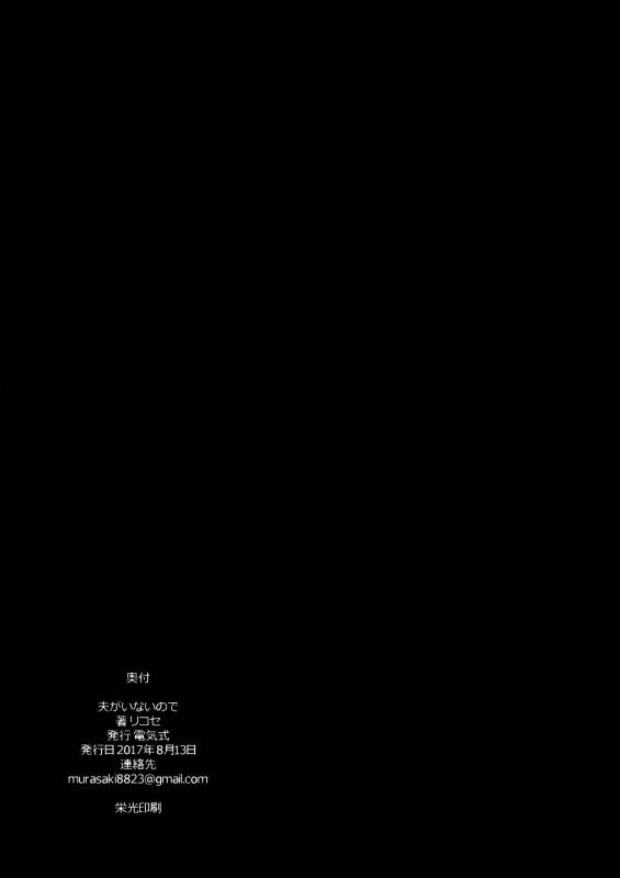 (C92) [Denkishiki (Rikose)] Otto ga Inainode [English] [BSN]_30