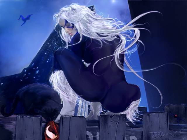 black cat (marvel)+felicia hardy+spider-mane5b2ac917be62d751c9a13c394949faa