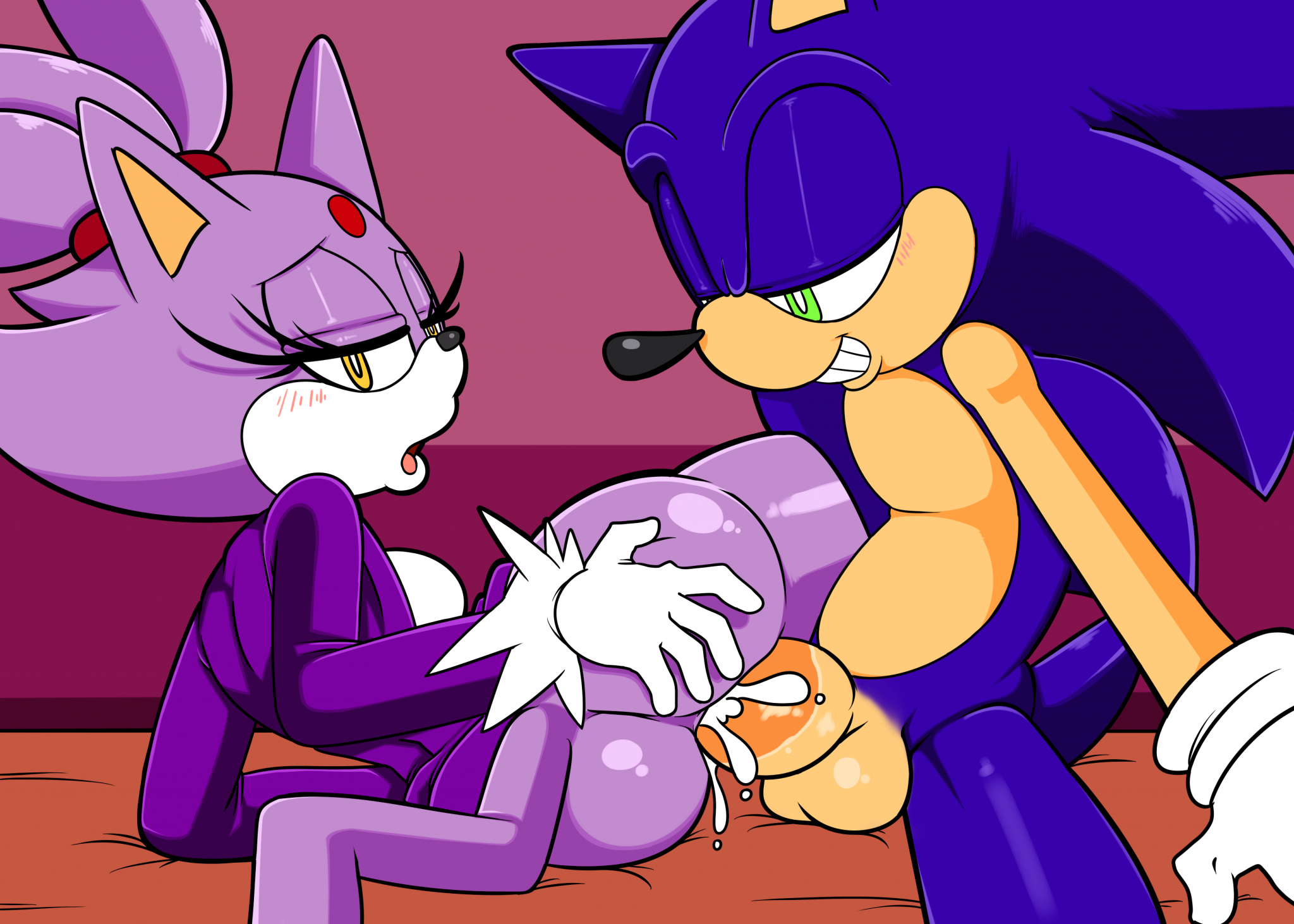 Blaze the cat anal