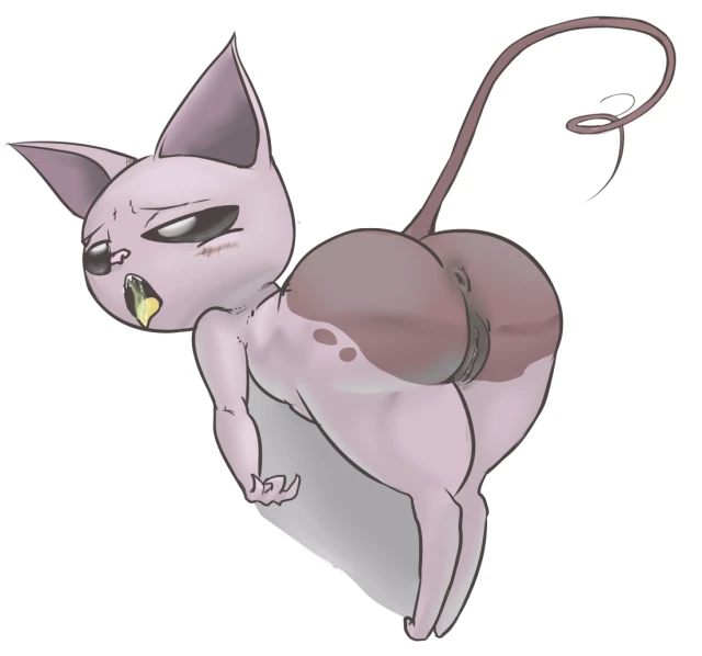 mr. kat