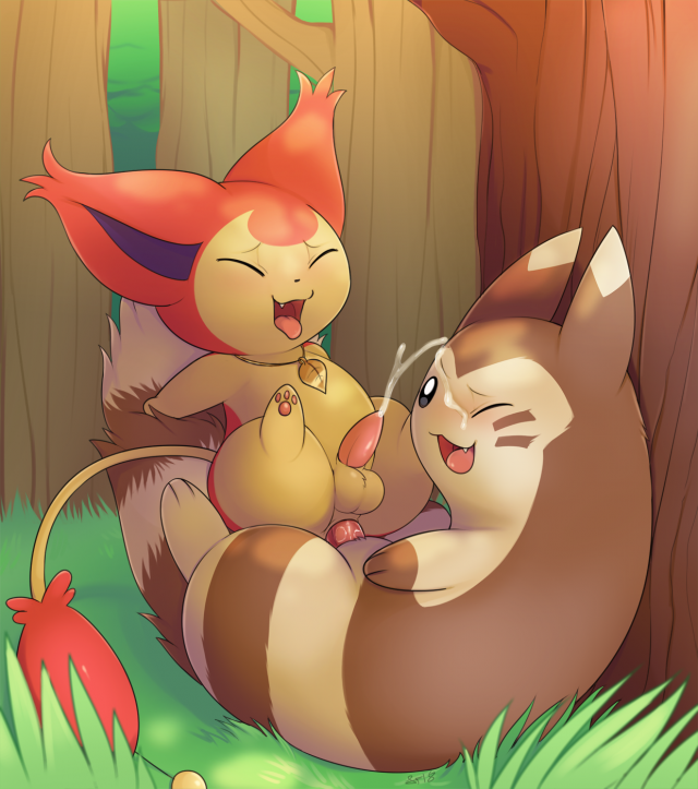 furret+skitty