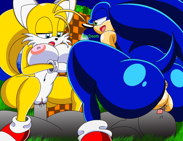 sonic the hedgehog+tails+tailsko