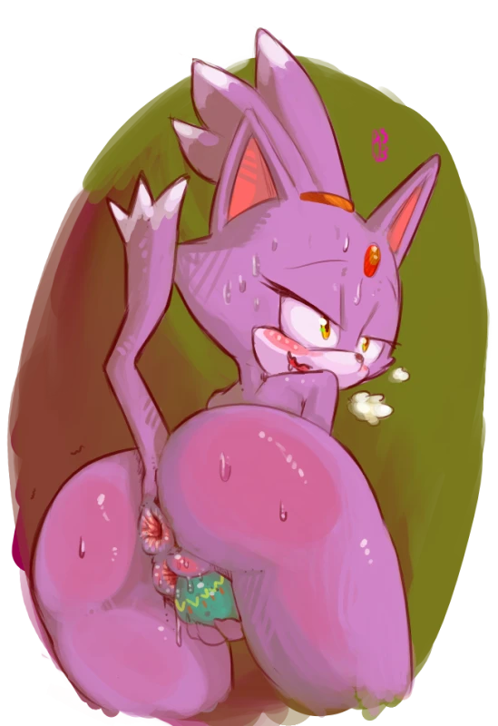blaze the cat