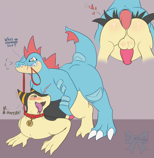 feraligatr+typhlosion