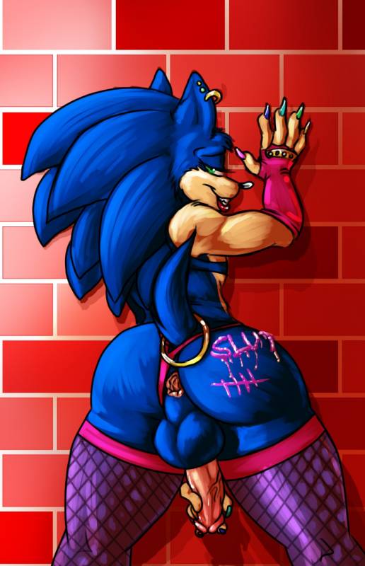 sonic the hedgehog