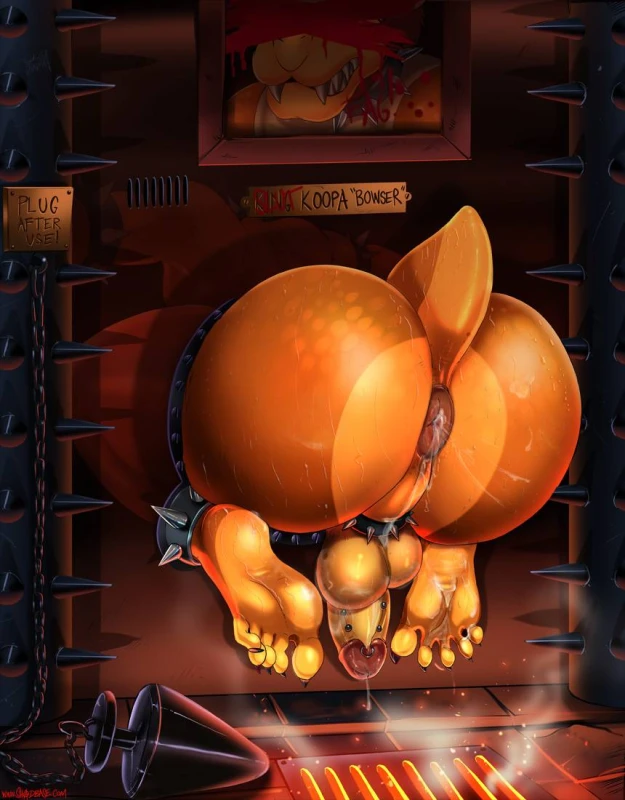 bowser+koopa