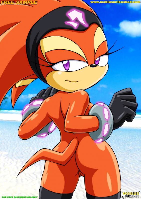 shade the echidna