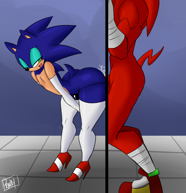 knuckles the echidna+sonic the hedgehog