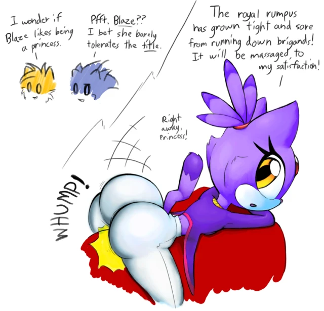 blaze the cat+sonic the hedgehog+tails