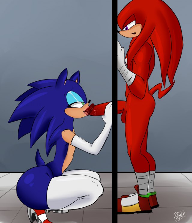 knuckles the echidna+sonic the hedgehog