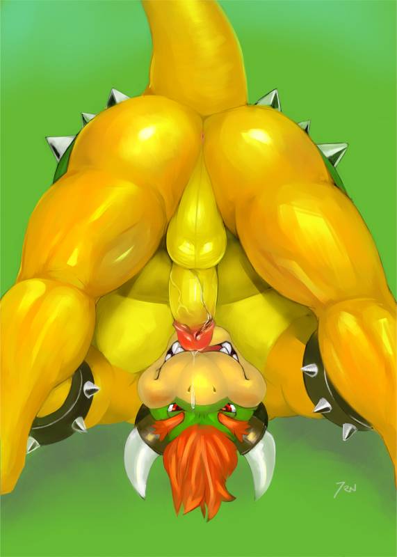 bowser+koopa