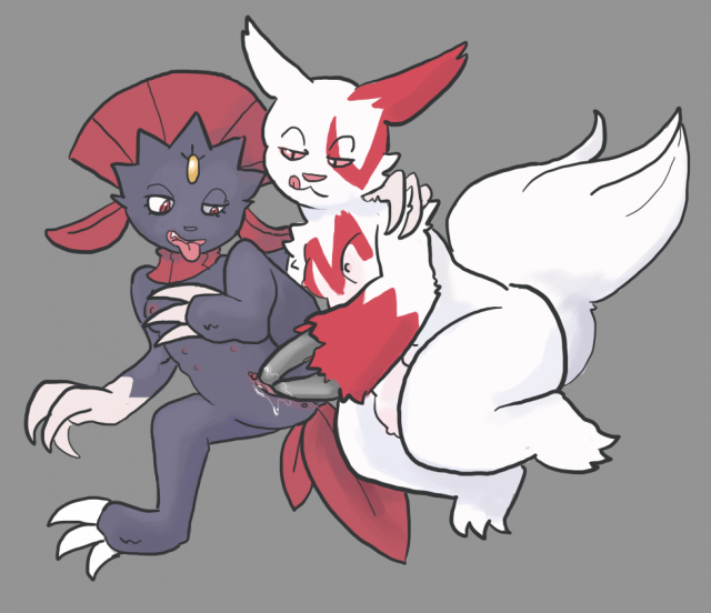 weavile+zangoose