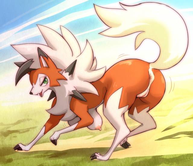 dusk lycanroc+lycanroc