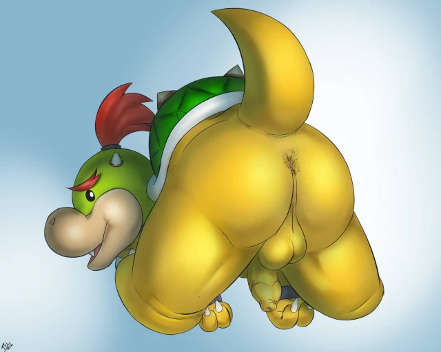 bowser jr.+koopa