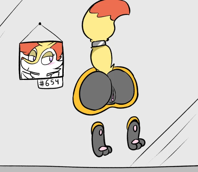 braixen