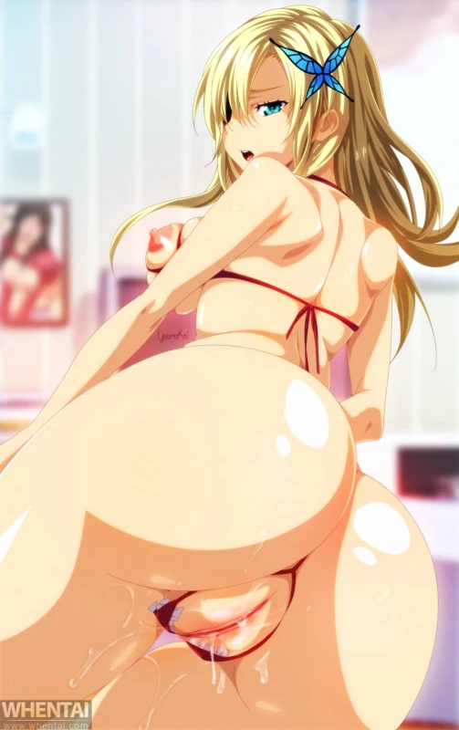 sena kashiwazaki