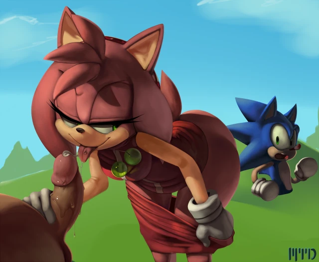 amy rose+sonic the hedgehog