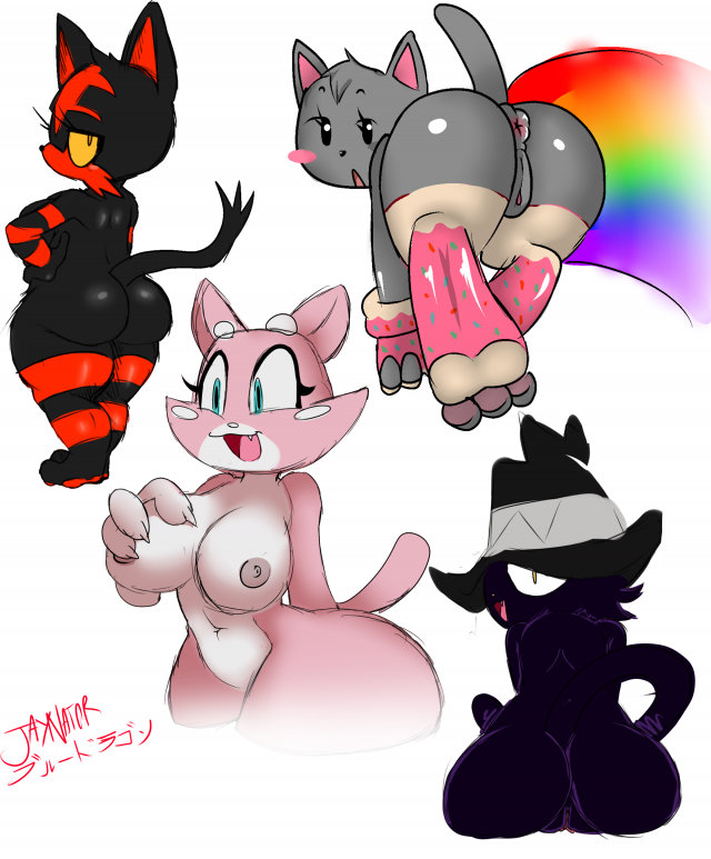 blair+litten+nyan cat+shima luan