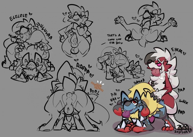 lucario+lycanroc+mega lucario+midnight lycanroc