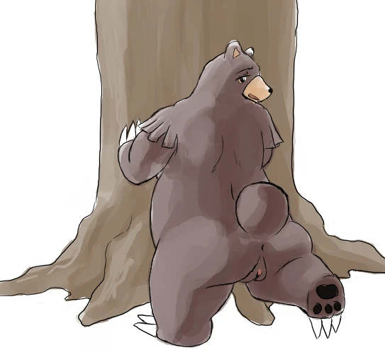 ursaring
