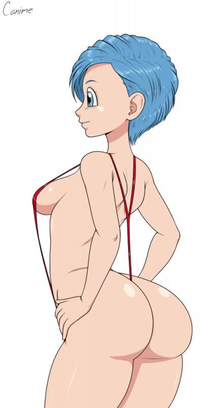 bulma briefs