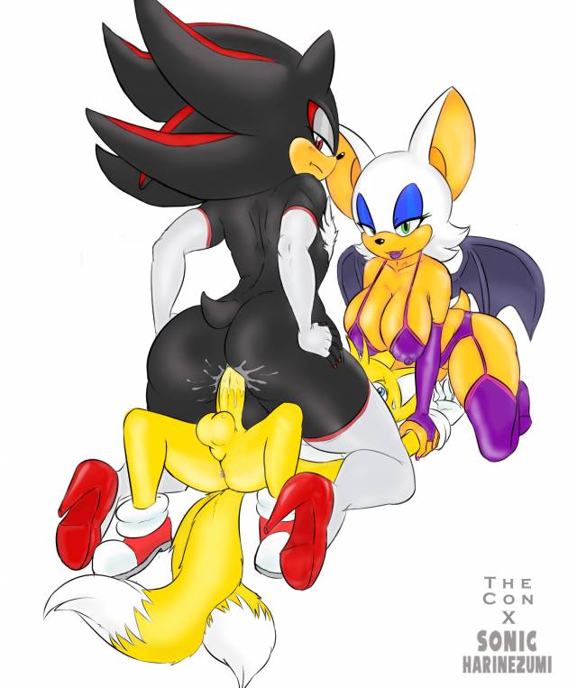 rouge the bat+shadow the hedgehog+tails