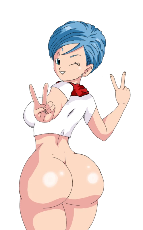 bulma briefs