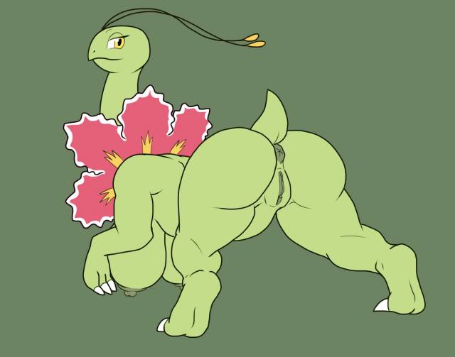 meganium