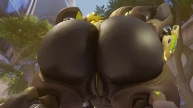 omnic,orisa