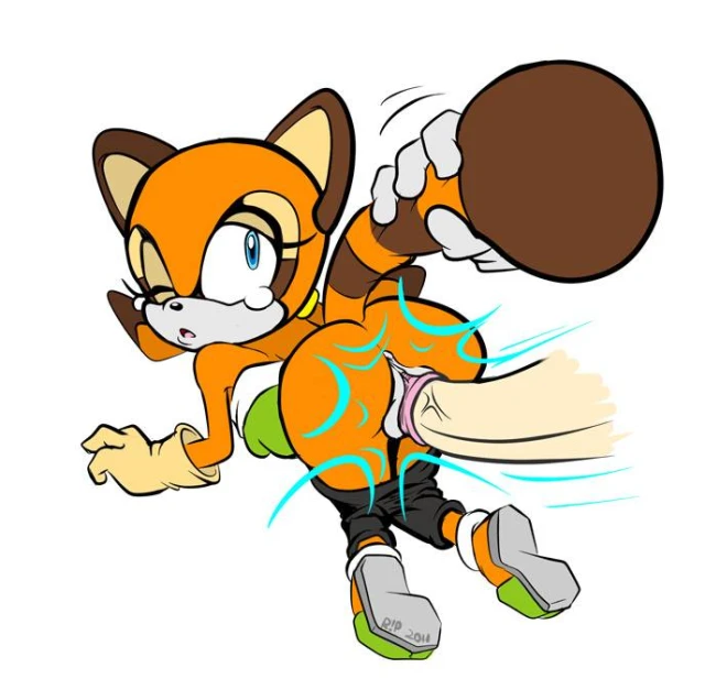 marine the raccoon