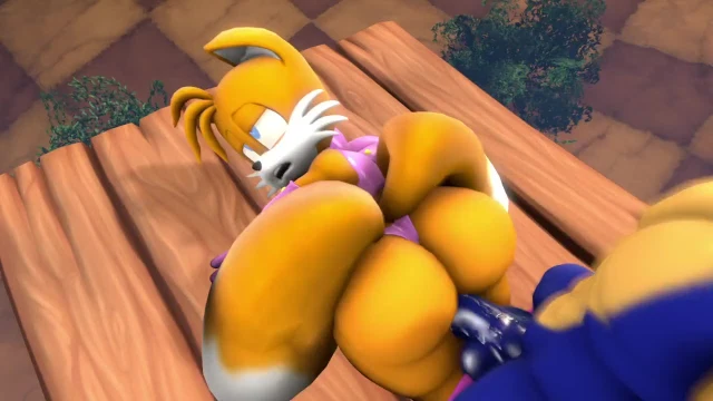 sonic the hedgehog,tails